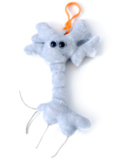 brain cell keyring