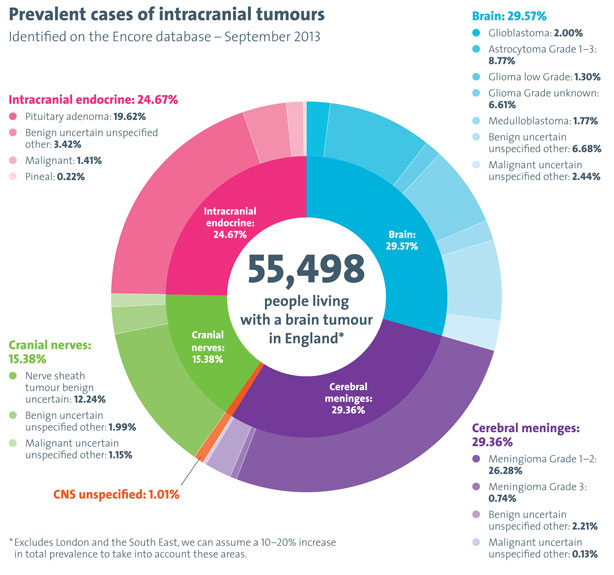 brain tumour prevalence figures - England