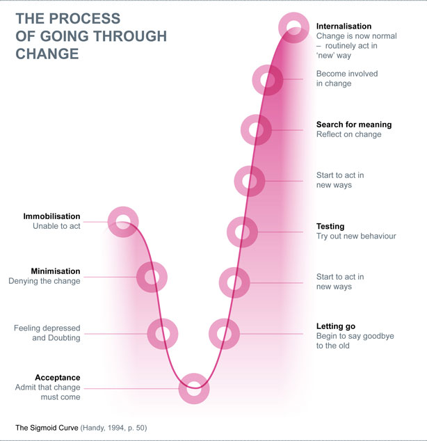 Brain tumour bereavement guide: the process of going through change