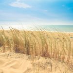 beach dune holiday 9537