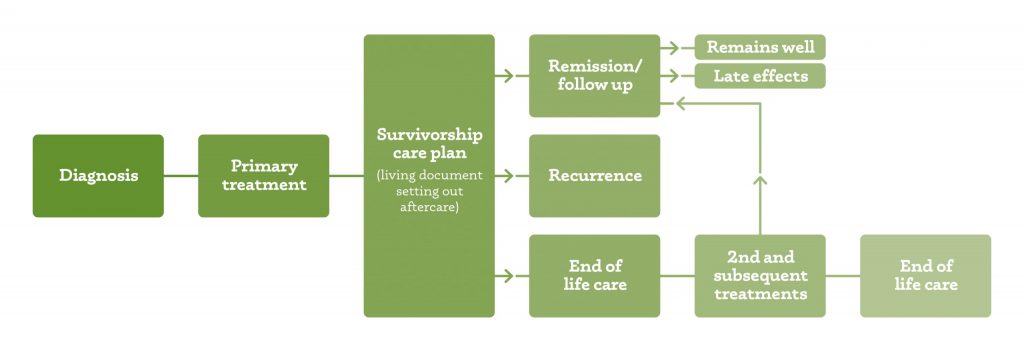 brain cancer survivorship framework