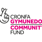 brainstrust launches Welsh language resources with National Lottery Community Funding