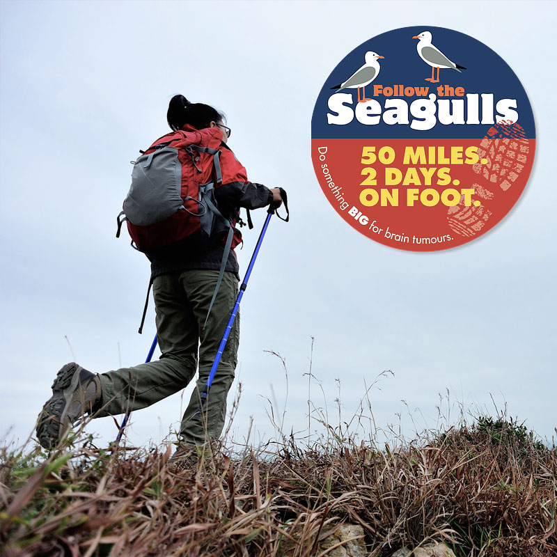 follow the seaguls