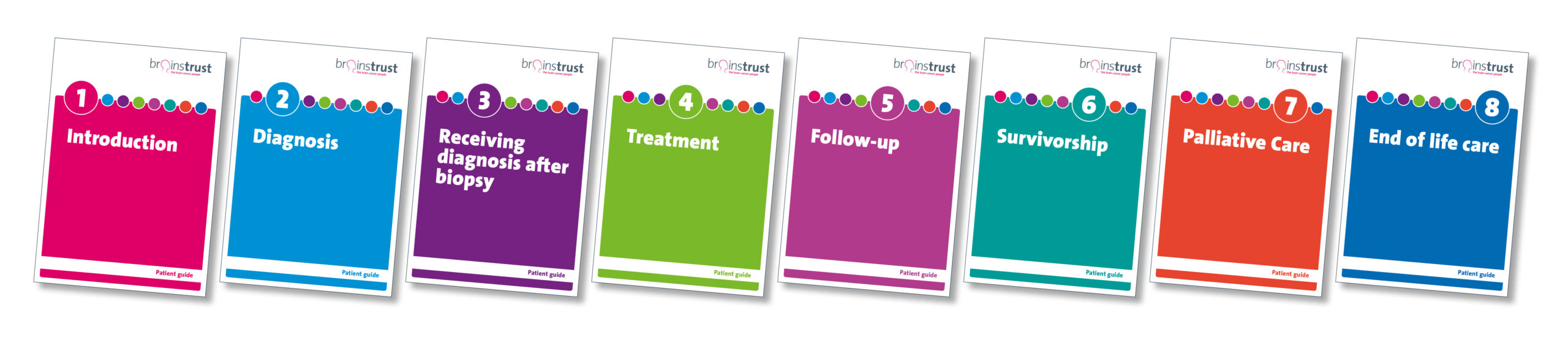 Updated guides to brain tumour treatment and care launched today to reflect new NICE guidance